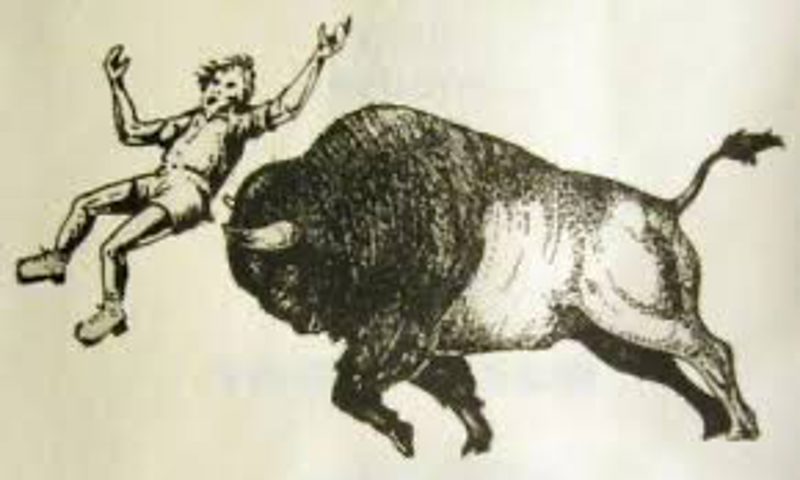 A vintage cartoon of a buffalo tossing a fleeing tourist into the air