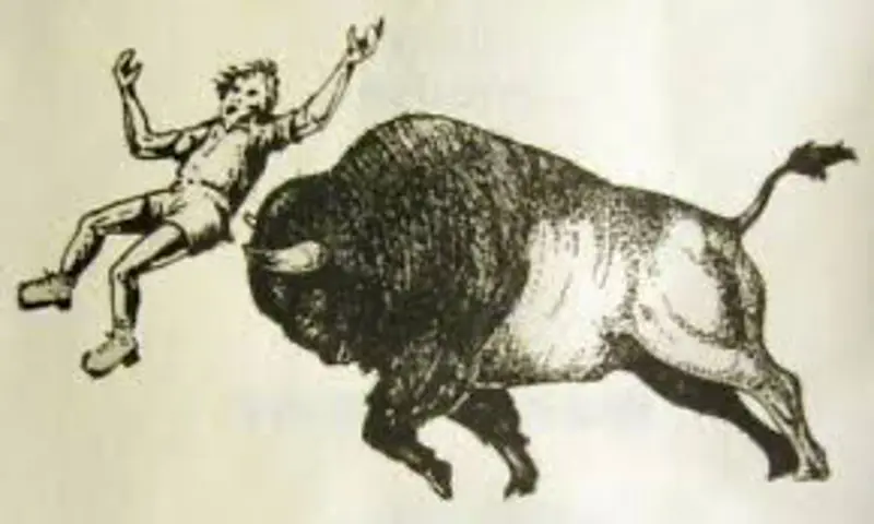 A vintage cartoon of a buffalo tossing a fleeing tourist into the air